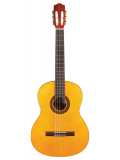 C1 (with Gig Bag), зображення 2