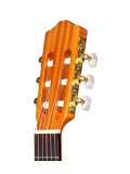 C1 (with Gig Bag), зображення 5