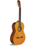 C1 (with Gig Bag), зображення 1