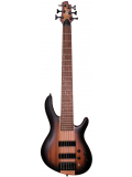 C6 Plus ZBMH (Open Pore Tobacco Burst), зображення 1