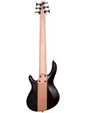 C6 Plus ZBMH (Open Pore Tobacco Burst), зображення 2