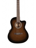 Jade E Nylon (Dark Brown Burst), зображення 2