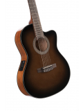 Jade E Nylon (Dark Brown Burst), зображення 3