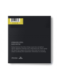 DBS40100 STAINLESS STEEL LIGHT 40-100, зображення 2