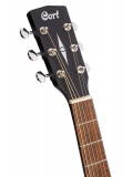 EARTH 60M (Open Pore Trans Black Burst), зображення 5