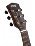 Core-DC Mahogany (Open Pore Black Burst), зображення 6