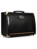 Ecoustic 208 Acoustic Amp Combo, зображення 1