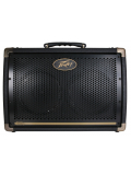 Ecoustic 208 Acoustic Amp Combo, зображення 2
