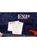 USA M-II HARDTAIL (Copper Sunburst Open Grain), зображення 4