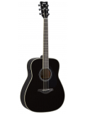 FG-TA TransAcoustic (Black), зображення 1