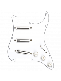 HIGH POWER STRAT REPLACEMENT PICKGUARD, зображення 1