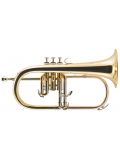 FG500 (S) Flugerhorn, зображення 1