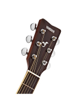 FG820 (Brown Sunburst), зображення 5