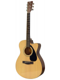 FS100C (Natural), зображення 1