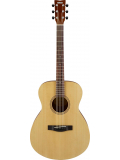 FS400 (Natural Satin), зображення 3