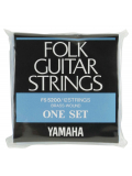 FS5200 ACOUSTIC BRONZE 12-STRING (10-47), зображення 1