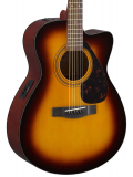 FSX315C (Tobacco Brown Sunburst), зображення 3