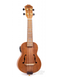 FZU-31EQ Soprano, зображення 1