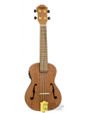 FZU-31MEQ-23 Concert, зображення 1