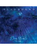 Flatwound Electric REG, зображення 1