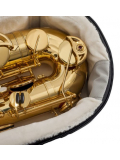 G-PG-TENORSAX, зображення 5