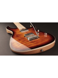 G290 FAT (Antique Violin Burst), зображення 2