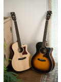 GA1E (Open Pore Sunburst), зображення 7