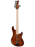 GB-Fusion 5 (Antique Brown Burst), зображення 1