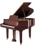 GB1K (Polished American Walnut), зображення 1