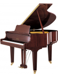 GB1K (Polished Mahogany), зображення 1