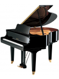 GB1K (Polished Ebony), зображення 1