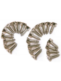 GH1000C PICKGUARD / BACKPLATE SCREWS - SET OF 24 (CHROME), зображення 1