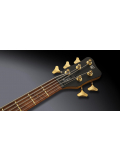 Teambuilt Pro Series Thumb BO5 Ltd 2020, 5-String (Natural Transparent Satin), зображення 5
