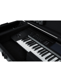GTSA-KEY76 TSA ATA Molded 76-note Keyboard Case w/ Wheels, зображення 5