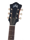 D-20 (Vintage Sunburst), зображення 3
