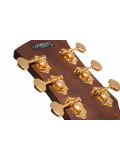 GOLD-A6 Bocote (Natural), зображення 6