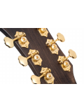 GOLD-D8 (Light Burst), зображення 5