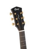 GOLD-DC6 (Natural), зображення 6