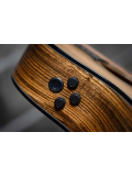 GOLD-A6 Bocote (Natural), зображення 10