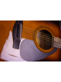 F310 (Tabacco Brown Sunburst), зображення 2