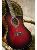 Jade E Nylon (Burgundy Red Burst), зображення 6