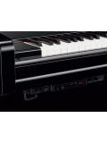 JU109 Silent SC3 (Polished Ebony), зображення 2