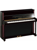 JX113T (Polished Ebony), зображення 1