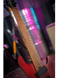 KX307 Multi Scale (Open Pore Mahogany), зображення 7