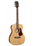L100C (Natural Satin), зображення 1
