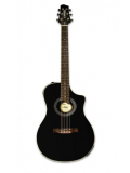 VARIAX ACOUSTIC 700 (BLACK), зображення 1