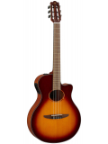 NTX1 (Brown Sunburst), зображення 1