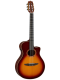 NTX3 (Brown Sunburst), зображення 1