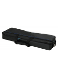 TRES 3.3 Pedalboard with Gig Bag, зображення 7
