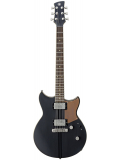 REVSTAR RSP20CR (Brushed Black), зображення 1
